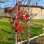 Bed and breakfast Nikolas' Valley Cornuda