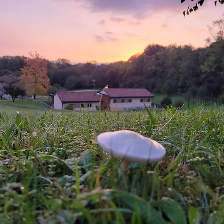 Nikolas' Valley Oda ve Kahvaltı 3*