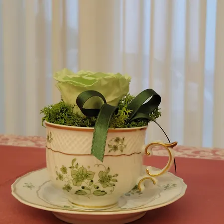 Nikolas' Valley Cornuda