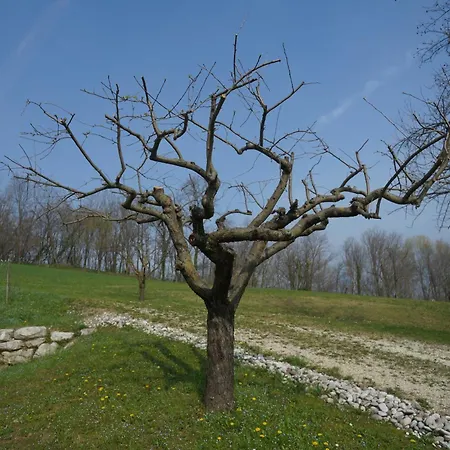 Nikolas' Valley Oda ve Kahvaltı 3*