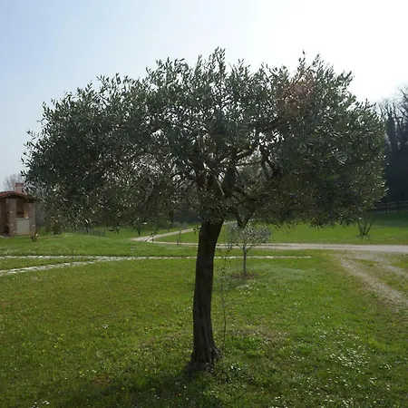 Nikolas' Valley Oda ve Kahvaltı