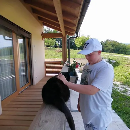 Nikolas' Valley Bed and breakfast