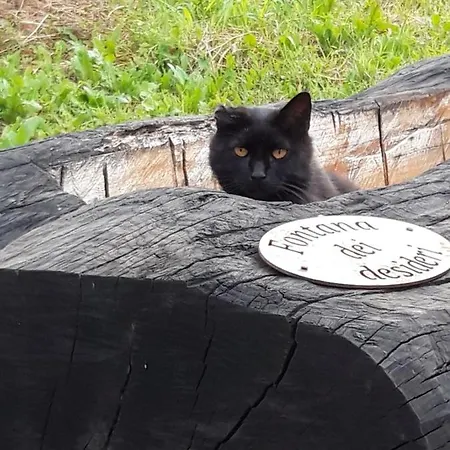 Nikolas' Valley Cornuda