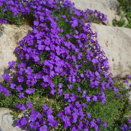 Nikolas' Valley Bed & Breakfast