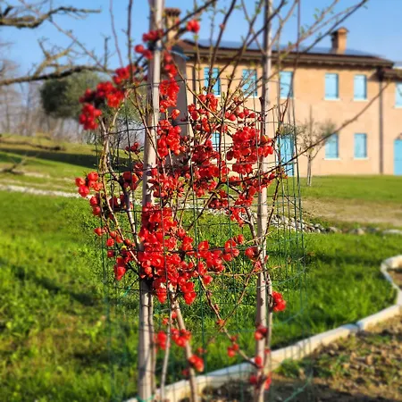 Bed & Breakfast Nikolas' Valley Cornuda