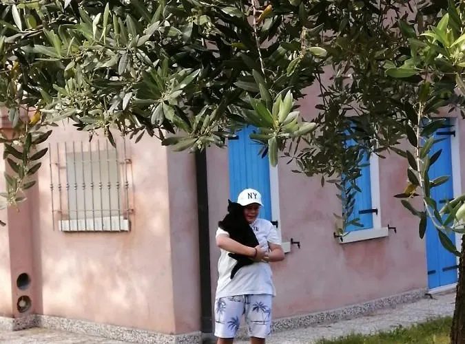 Nikolas' Valley Couette-café