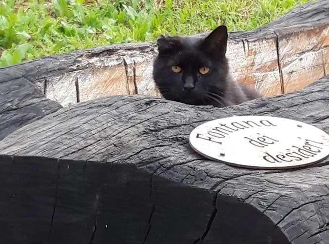 Nikolas' Valley Cornuda