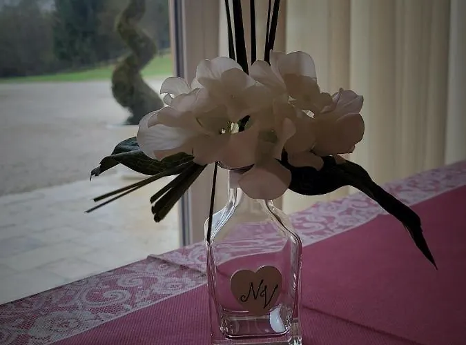 Couette-café Nikolas' Valley 3*