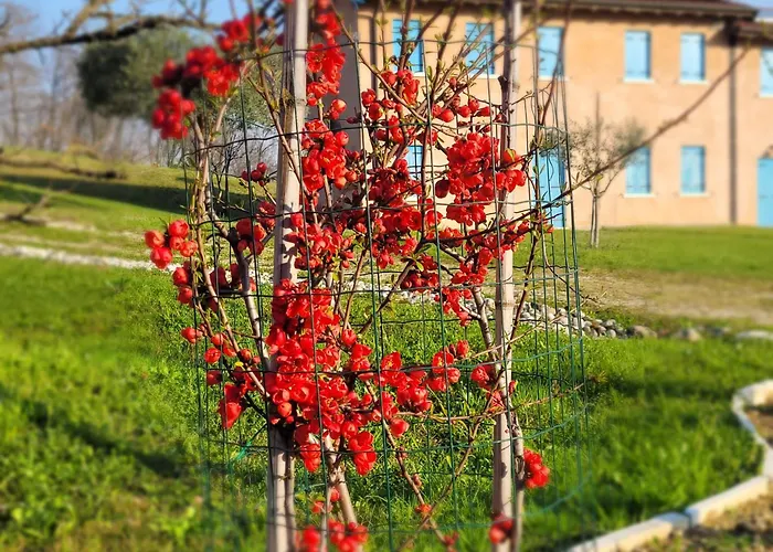 Couette-café Nikolas' Valley Cornuda