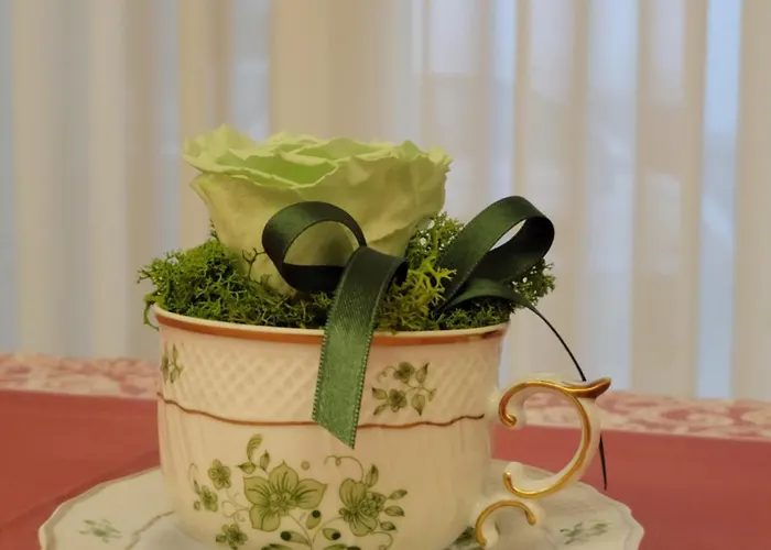 Nikolas' Valley Cornuda