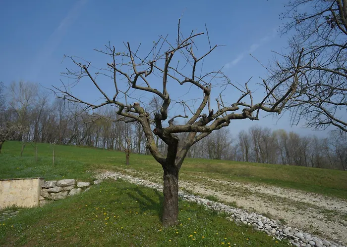 Nikolas' Valley Couette-café 3*