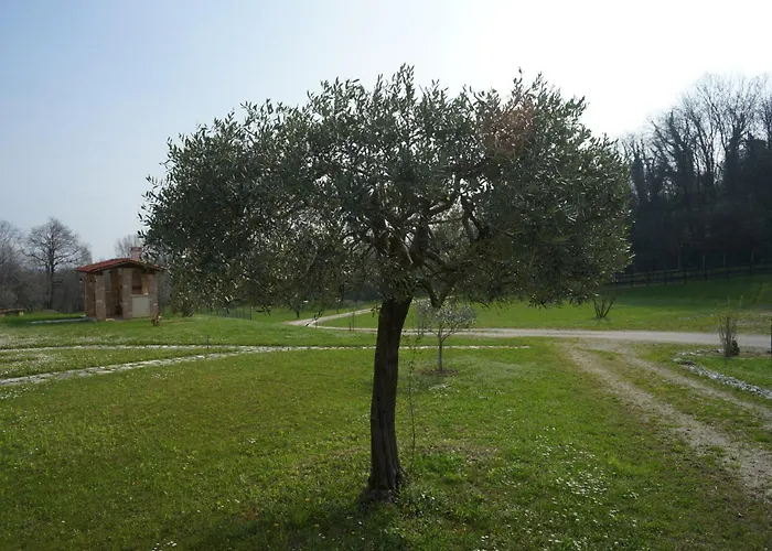 Nikolas' Valley Couette-café